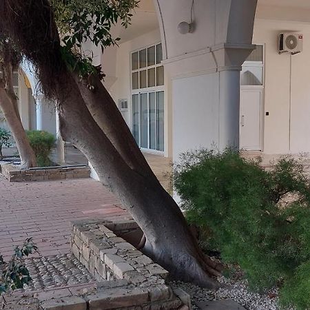 Eleantre Holiday Apartments Paphos Eksteriør bilde